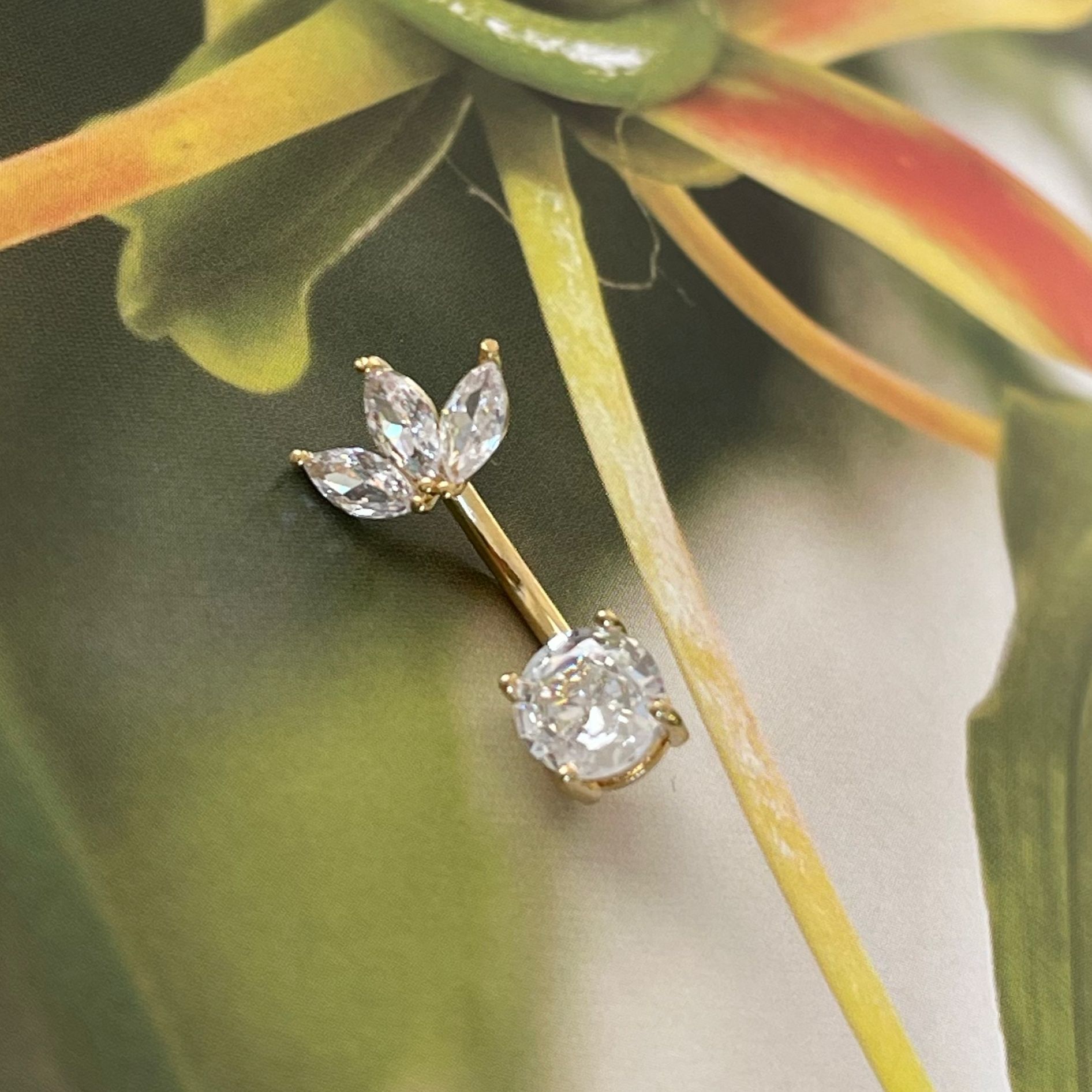 WhatsApp Image 2024-08-26 at 10.08.50