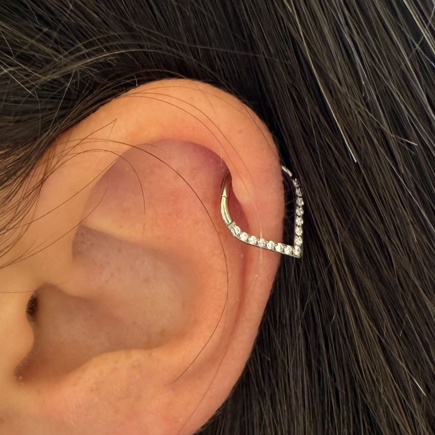 WhatsApp Image 2024-12-05 at 13.50.57