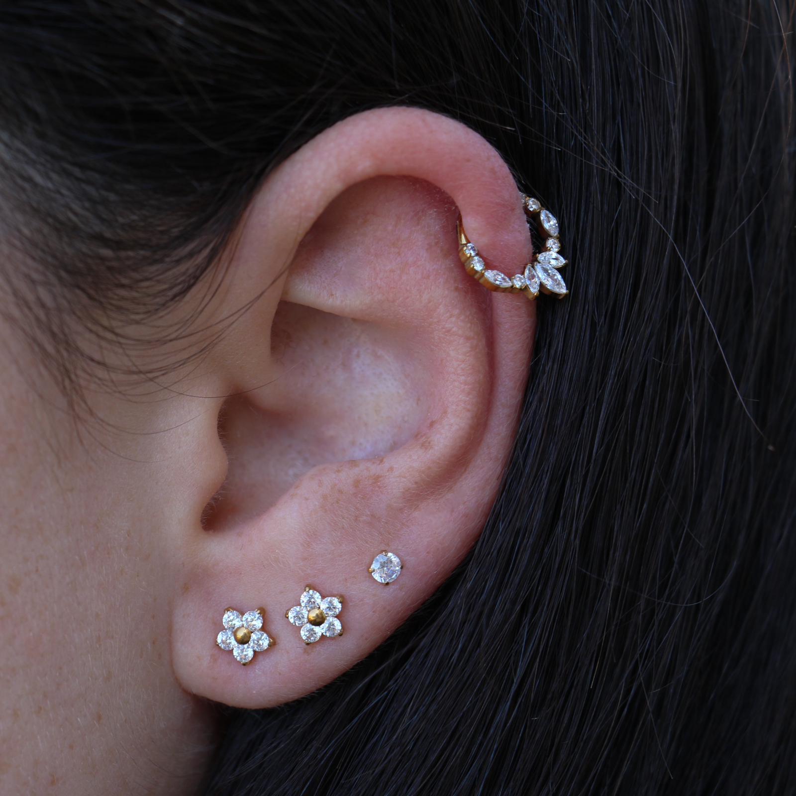 WhatsApp Image 2024-12-05 at 13.50.41